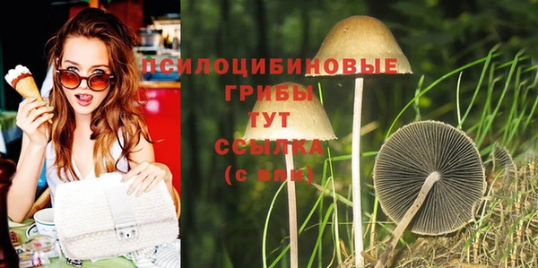 твердый Беломорск