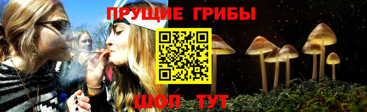 Псилоцибиновые грибы Cubensis  Вход с VPN  Верхний Уфалей 